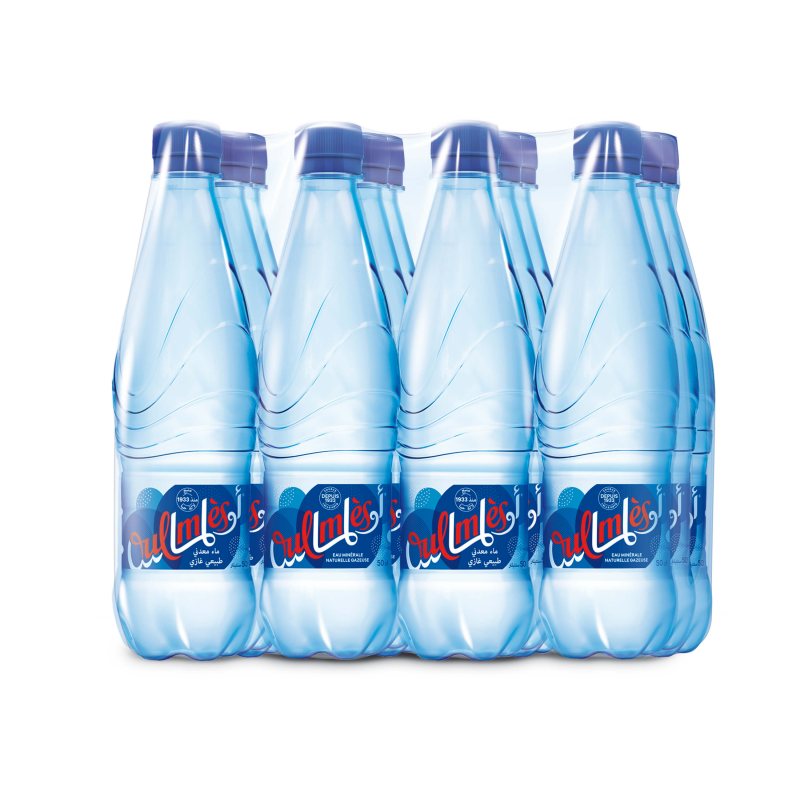 OulmÃ¨s pack 12x50cl - 2 sur 2